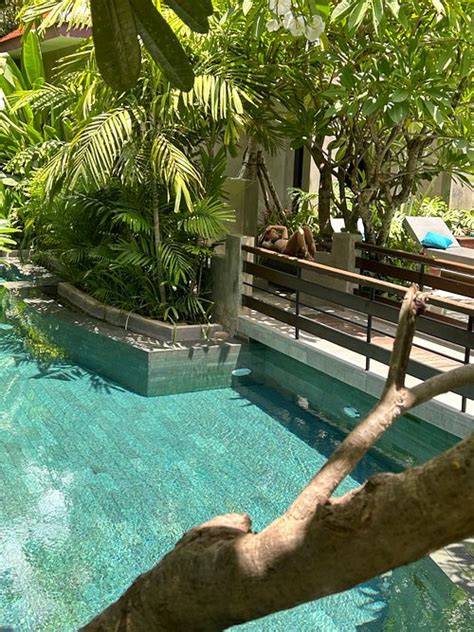 eightfold urban resort website|EIGHTFOLD URBAN RESORT $43 ($̶6̶8̶) .